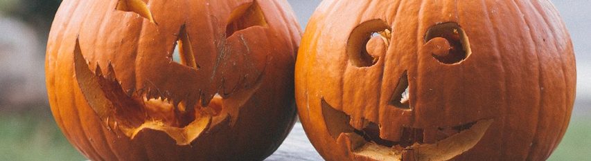 Schulverein Grundschule Ashausen